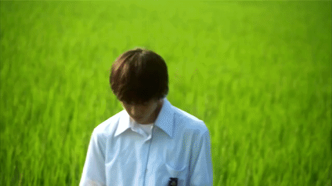 Description of the image